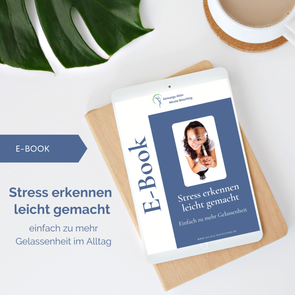 E-Book - Stress erkennen leicht gemacht