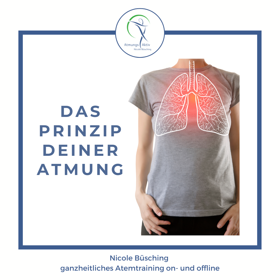 You are currently viewing Das Prinzip der Atmung