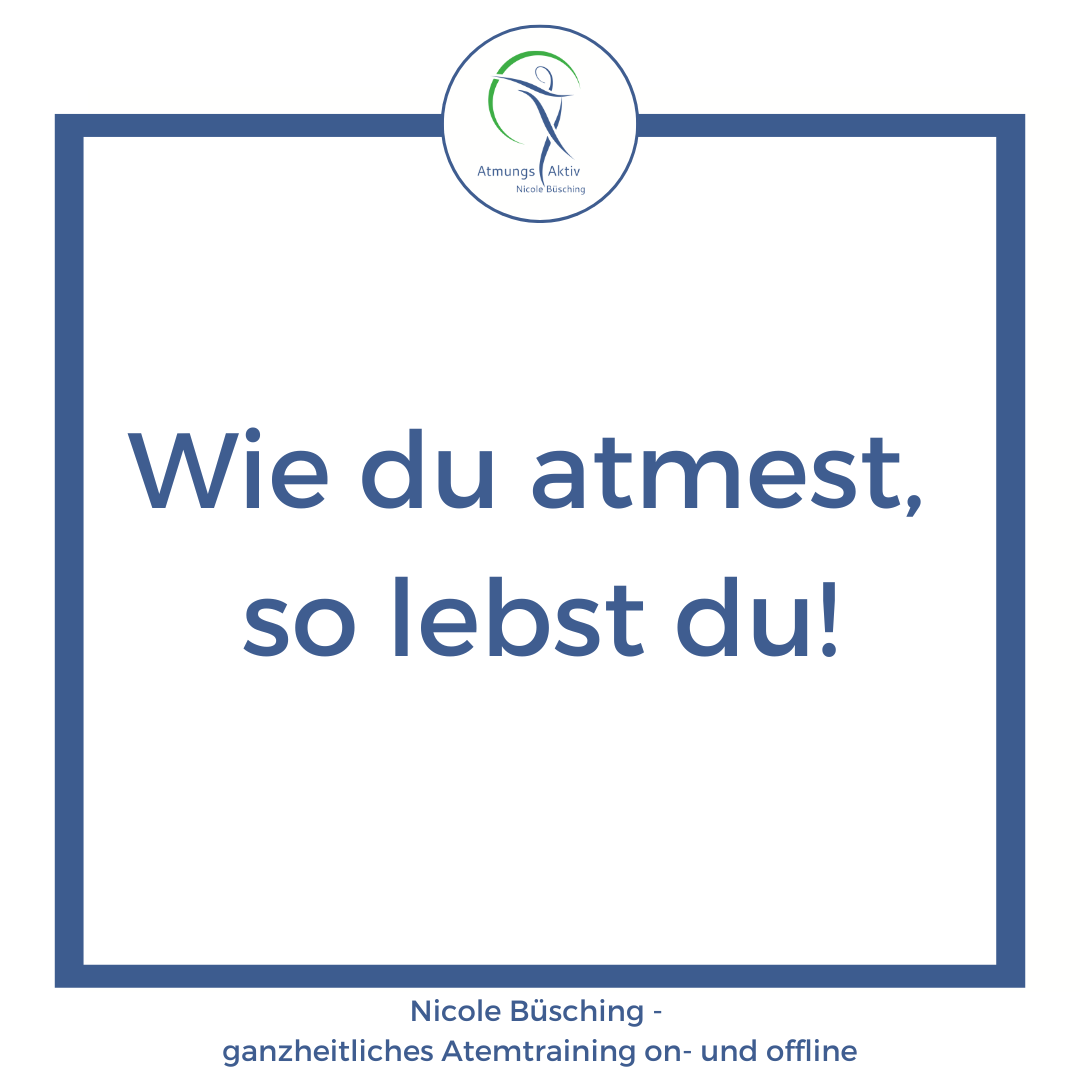 Read more about the article Wie du atmest, so lebst du!