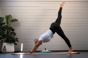Nicole Büsching zeigt Vinyasa Yoga